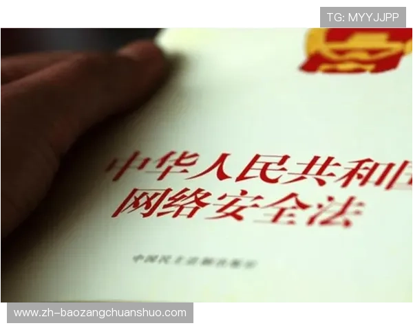 详解ng真人视讯的安全保障措施,保障玩家资金与个人信息安全的全面指南 详解ng真人视讯的安全保障措施,保障玩家资金与个人信息安全的全面指南